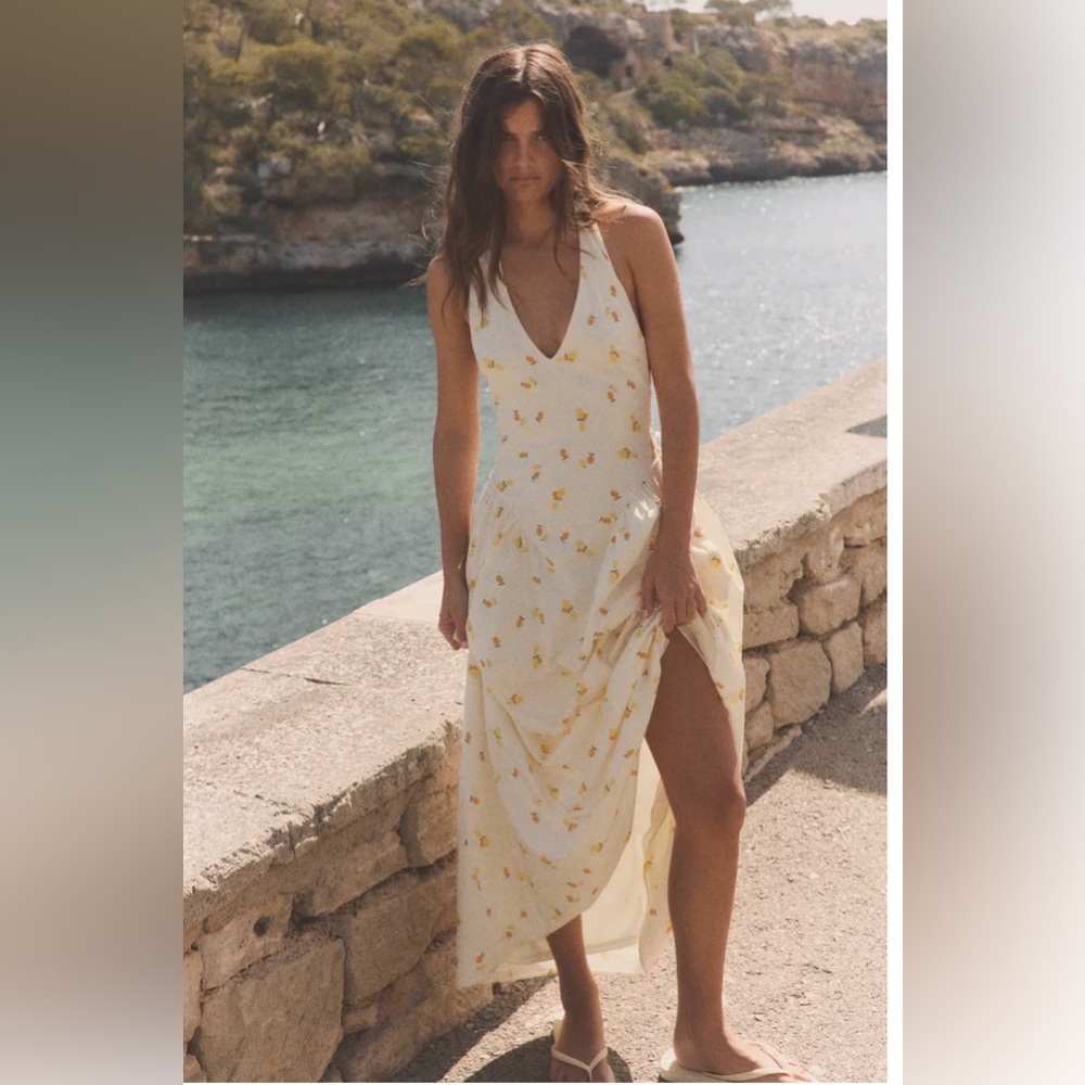 NWT - The Viral Zara Fruit Dress